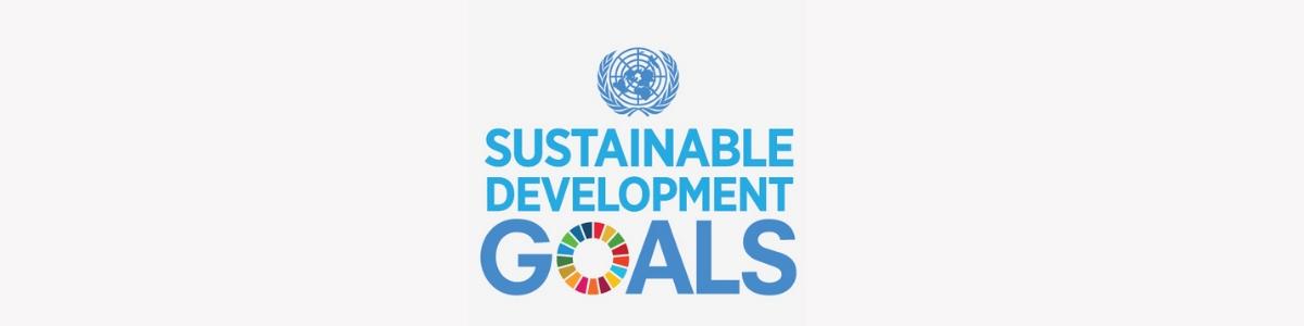 sdgs-logo